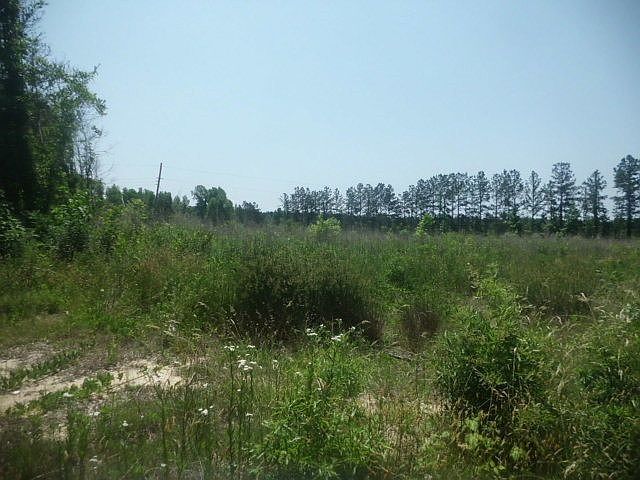 2nd image of 5363 Us Highway 401