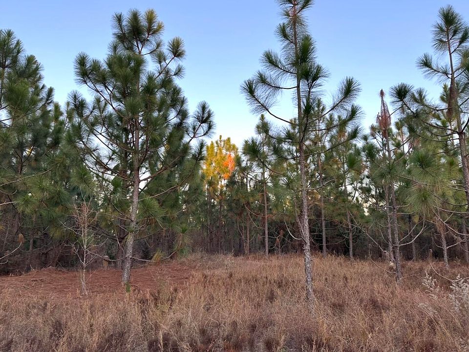 2nd image of LOT 36 Ranchero St