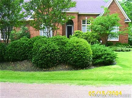 2nd image of 6 Woodbine Ln