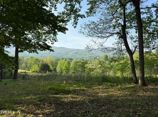 Bobs Hollow Rd Lot 4, Elizabethton, TN 37643