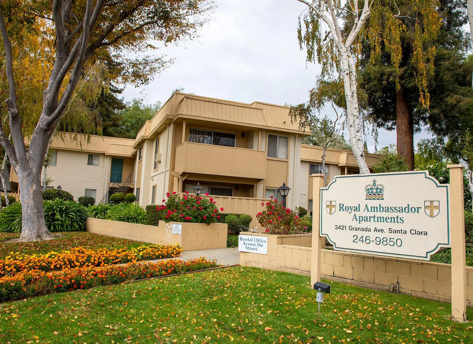Royal Ambassador Apartments — Photo 1