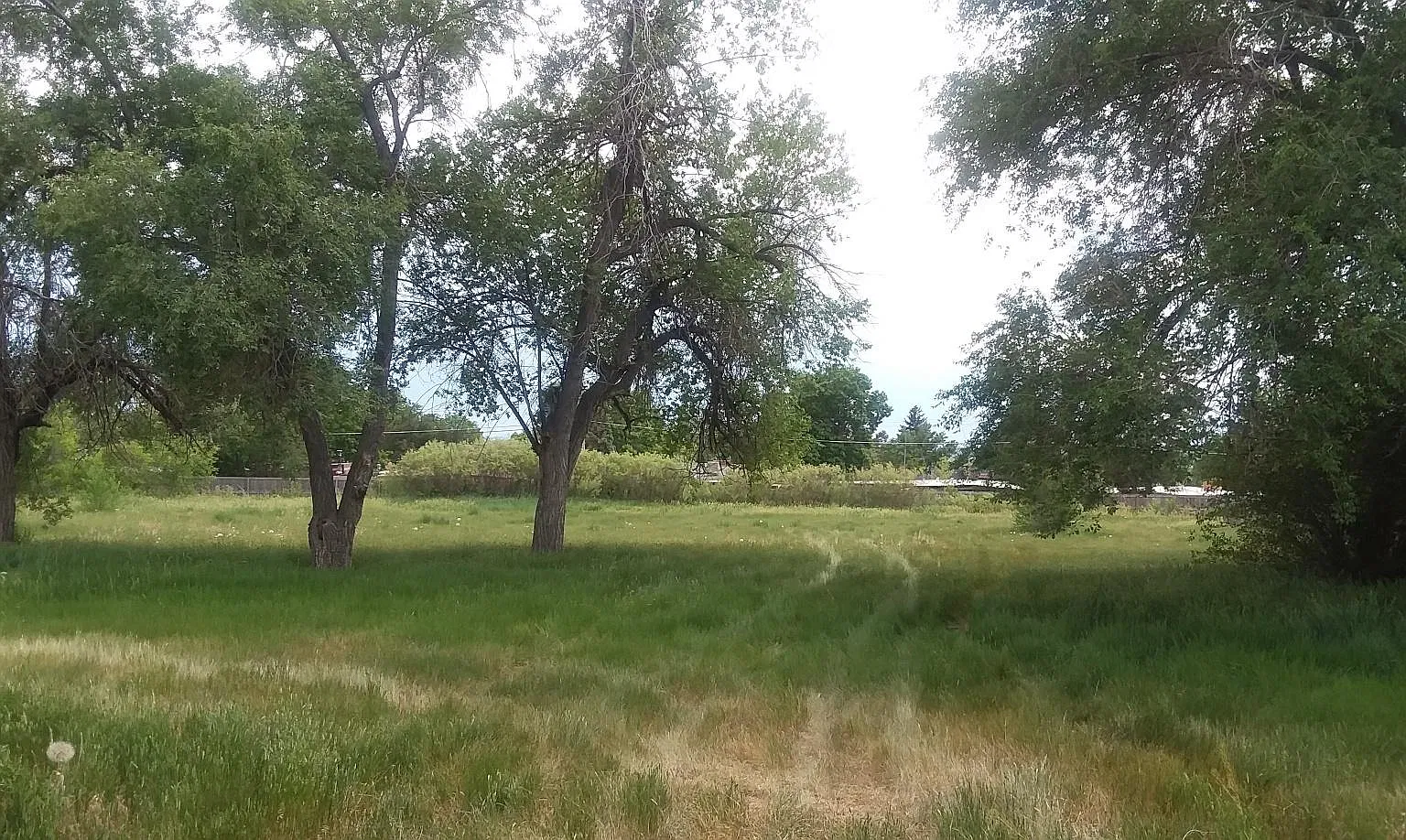 3 bed, 1393 sqft, $2,300 — Photo 4