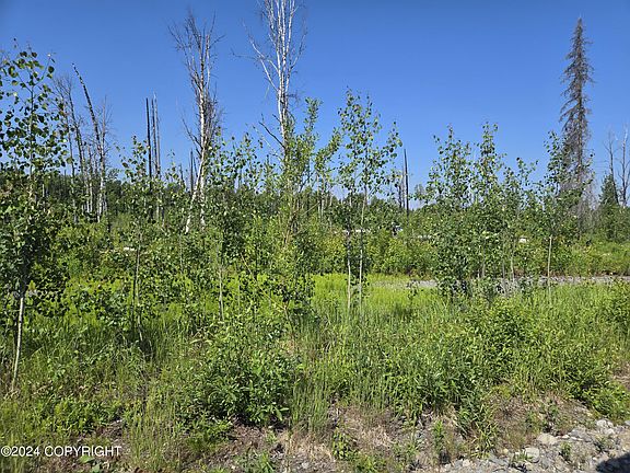 2nd image of 47774 S Yancey Dr