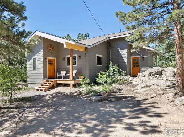 727 Overland Dr, Ward, CO 80481