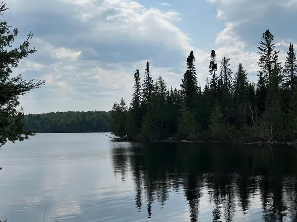 100 Wilderness Trl, Hovland, MN 55606