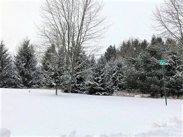 2nd image of 1701 Silver Ln