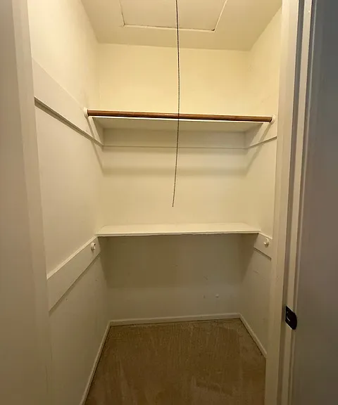 Closet in 2nd rear bedroom