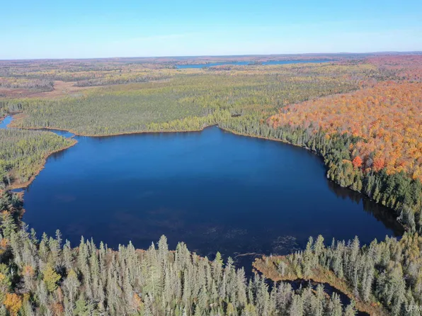 527 Usfs Rd #2130, Iron River, MI 49935