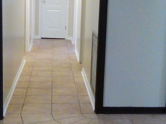 Custom mosiac & tile work