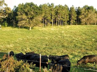 1007 Purvis To Columbia Rd, Purvis, MS 39475