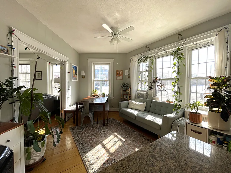 374 Chestnut Hill Ave #4 — Photo 5