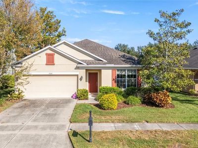 5608 Angelonia Ter, Land o lakes, FL, 34639