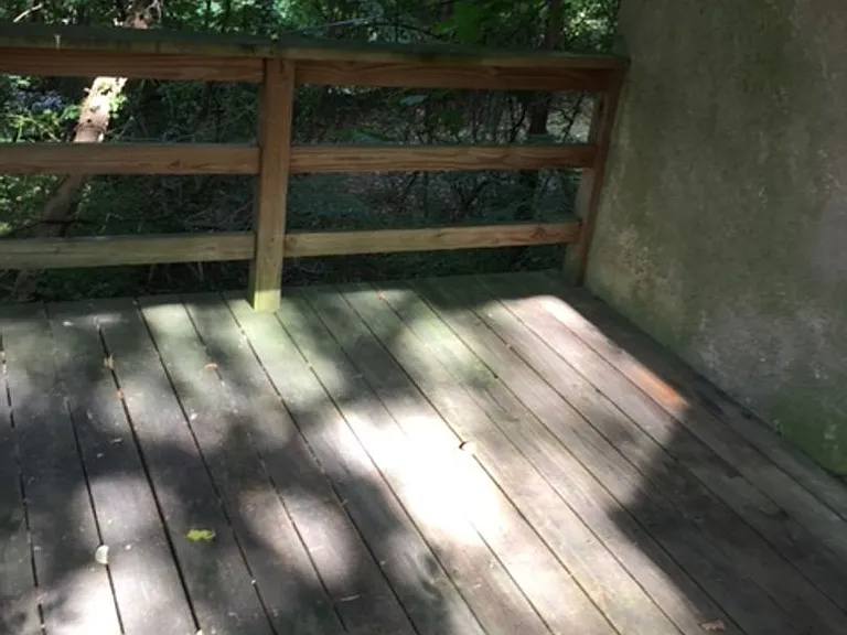1914 Sulgrave Ave — Photo 5