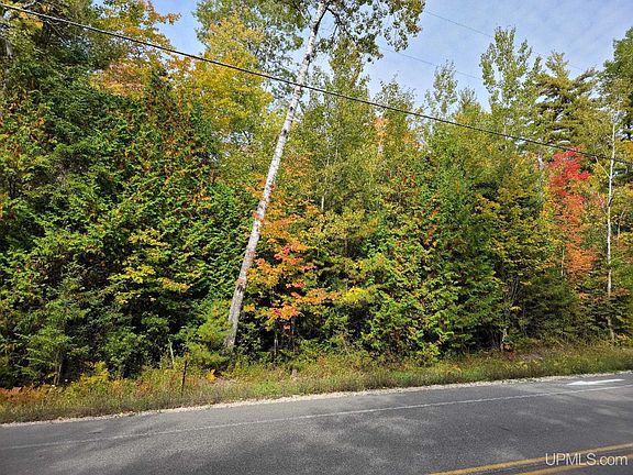 2nd image of County Road 441
