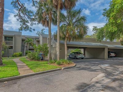 107 Woodland Pl, Osprey, FL, 34229