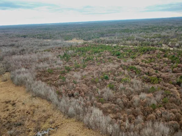 42.2 acres Highway 80, Necedah, WI 54646