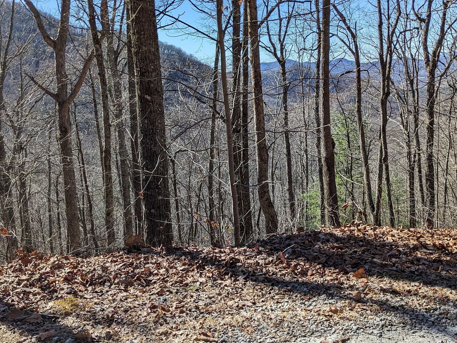 0 Rescue Ln, Dillard, GA 30537 MLS 10248916 Zillow