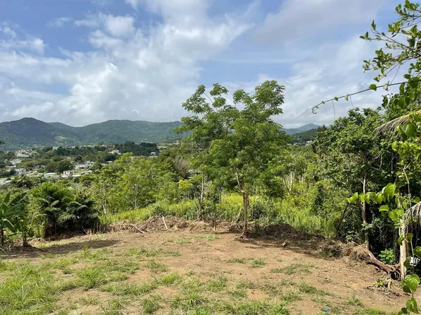 Bo Arenas Carr Prairie Km #734-6.3, Cidra, PR 00739