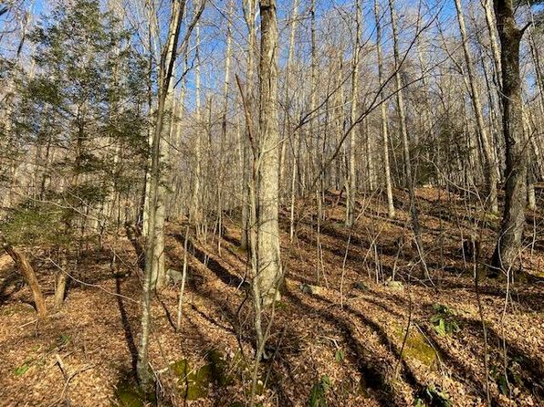 0 Sawyer Run Rd, Cowen, WV 26206