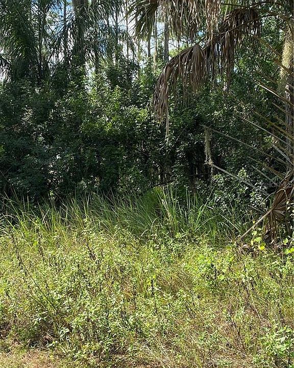 1st image of Deland Ave