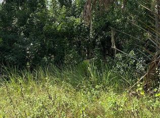 Deland Ave, Lake wales, FL 33898
