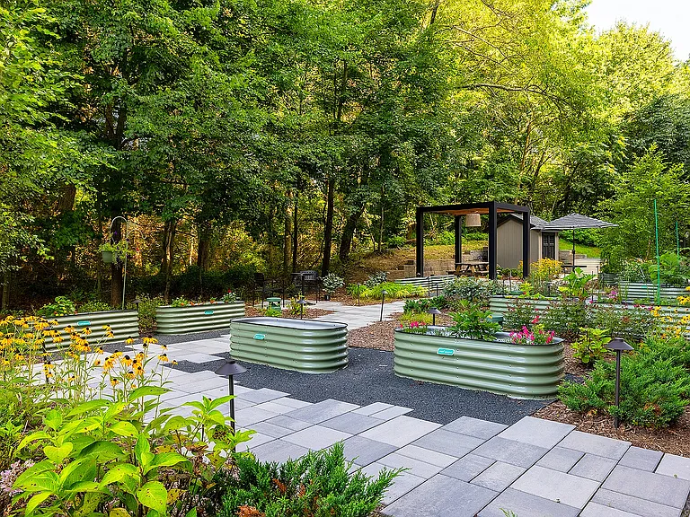 Zen Garden