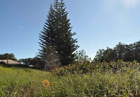 5th image of Puu Nohea St Lot 157