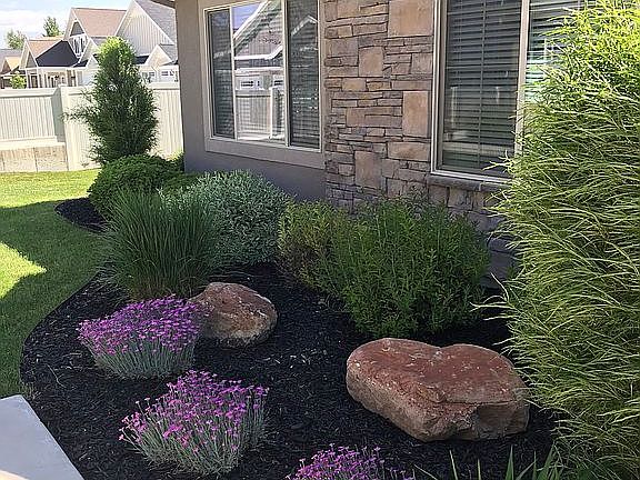 Front Landscaping