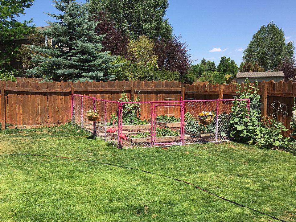 Garden area with raised beds