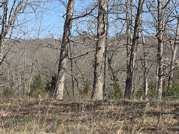 5th image of 0 Riverside Dr