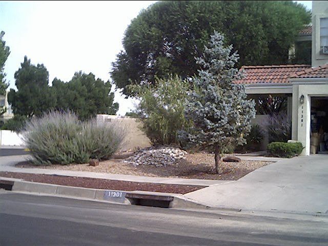 front yard