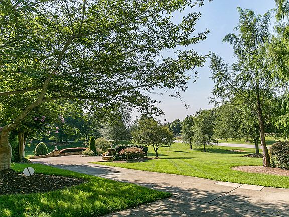 Mature Hardwood Trees