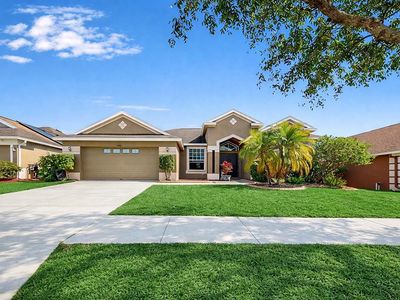 13906 Collier Rock Pl, Riverview, FL, 33579