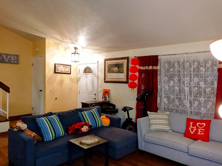 Living room/Main Entrance