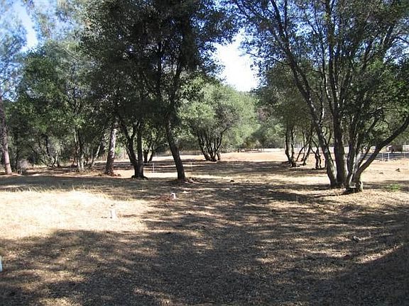 Meadows