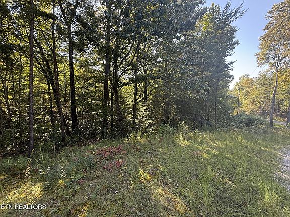 4th image of 0 Covemont Rd Lot 5