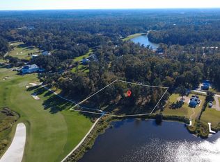 166 Little Lulu Ln, Richmond Hill, GA 31324