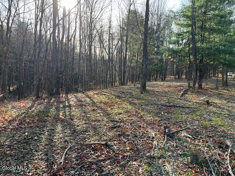 5th image of L10 County Route 51