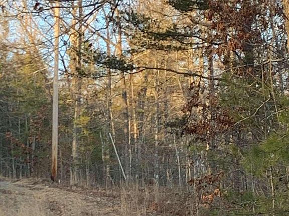 4th image of 108 Wildflower Dr #Nod5