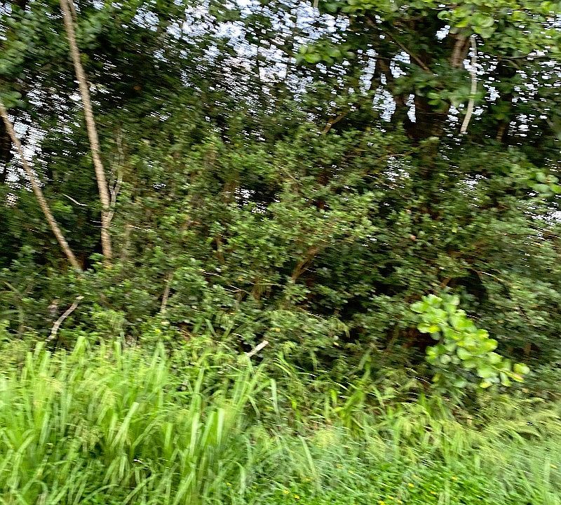 2nd image of Paradise Dr Lot 203