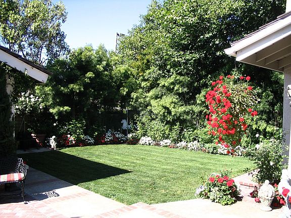 Back Yard approx. 2,250 sq. ft.