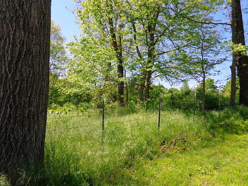 1st image of 6947 W Farm Road 186