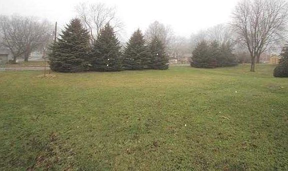 Large back yard