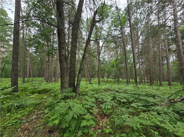 Lot A Saylors Lane, Siren, WI 54872