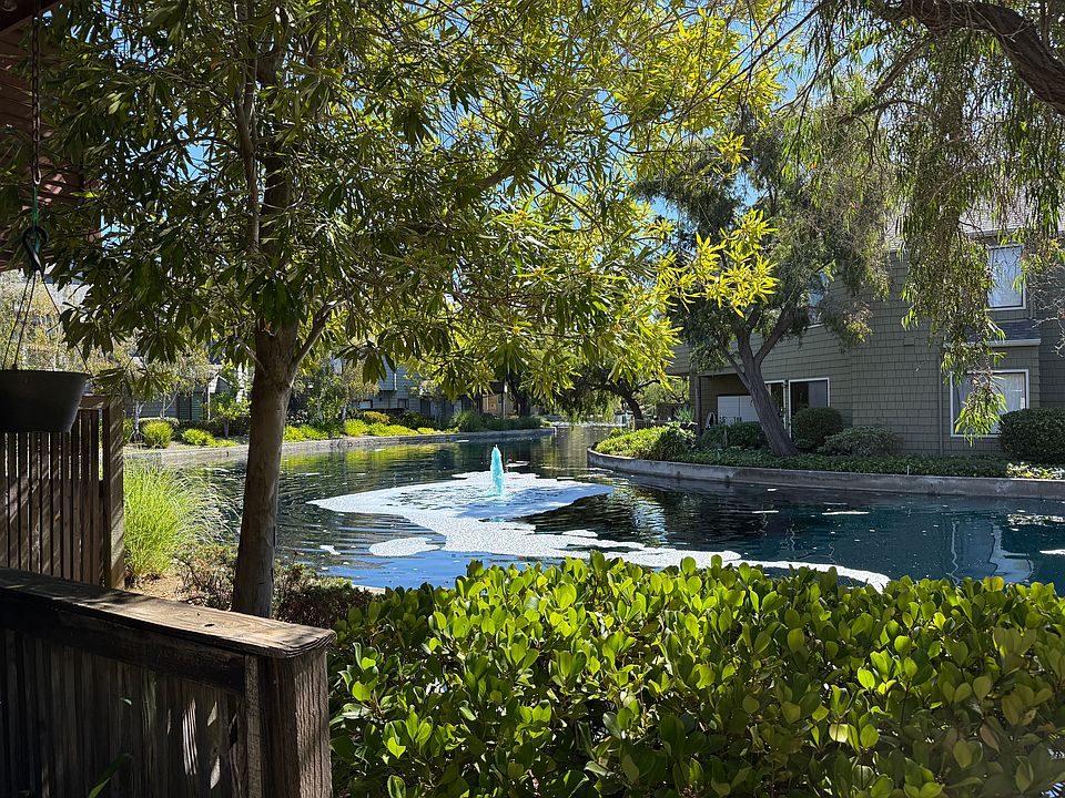 View from back patio.