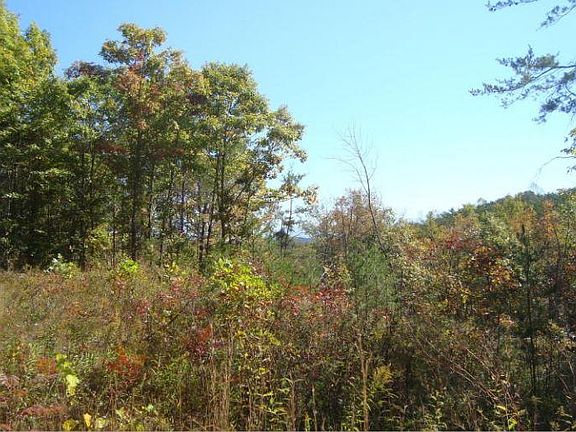 3rd image of 7681 Highway 68 Lot 7