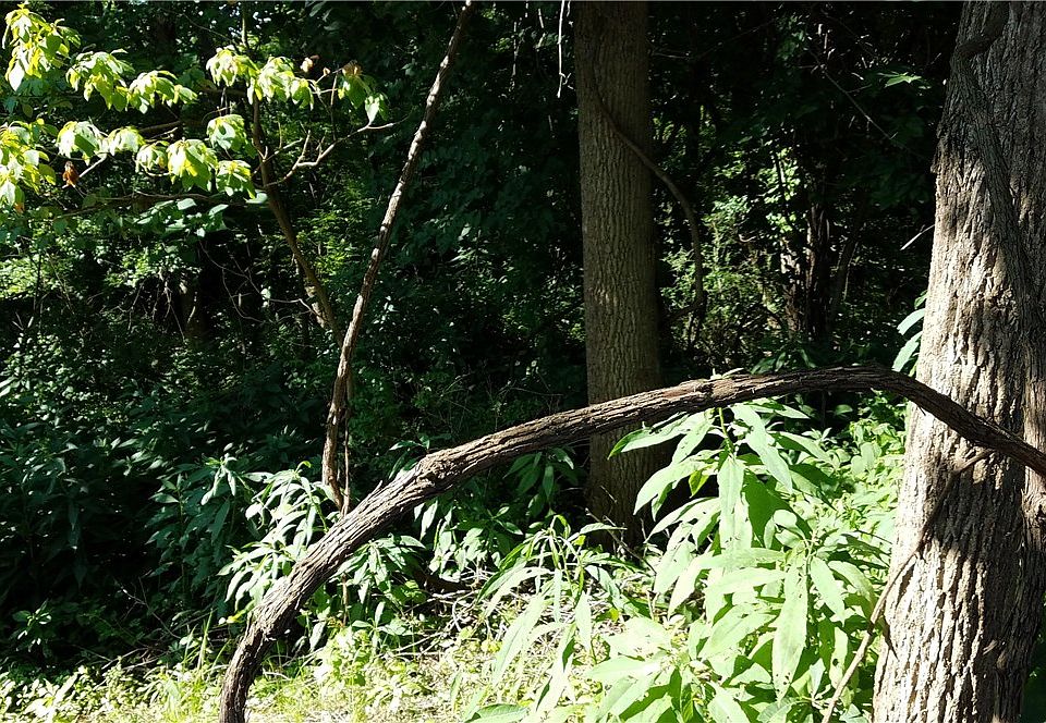 2nd image of Route 119