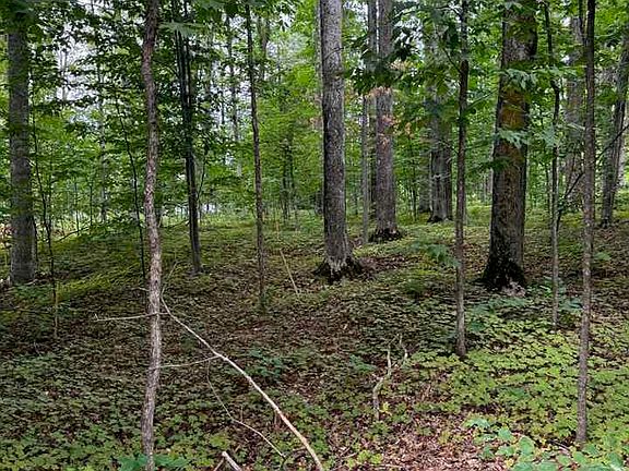 3rd image of 96 Stags Run