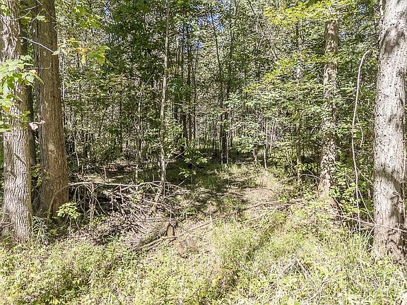 3rd image of Pew Rd