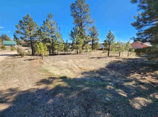 1059 Hills Cir, Pagosa Springs, CO 81147